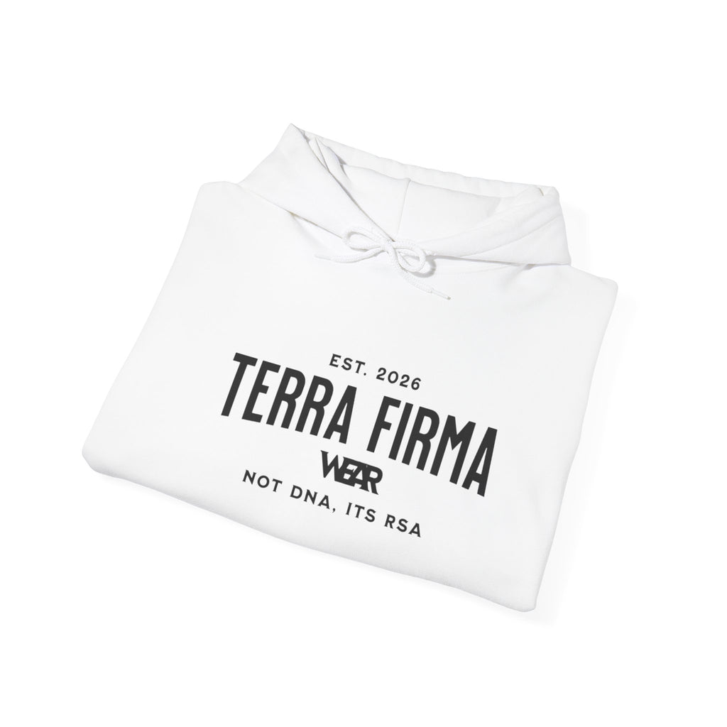 Terra Firma Graphic Hoodie — 'Not DNA. It's Wear.' Vintage Angel Print Printify