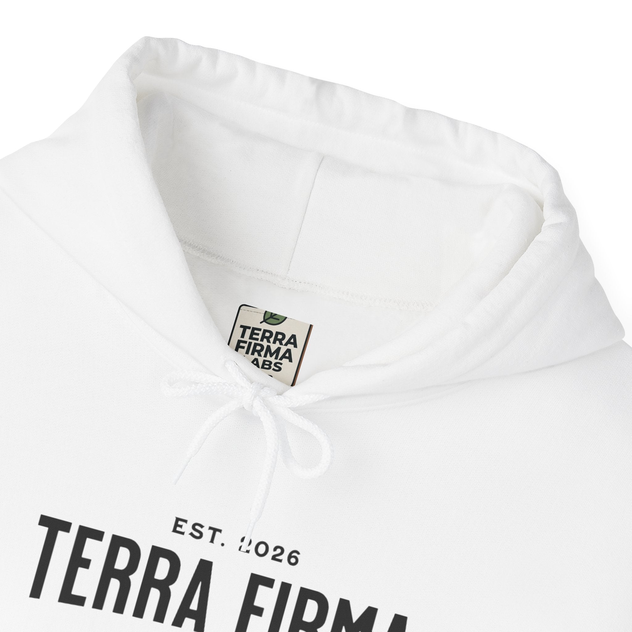 Terra Firma Graphic Hoodie — Angel Statue Back Print, 'Not ONA Its Essa' Chest Text Printify