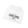 Terra Firma Graphic Hoodie — Angel Statue Back Print, 'Not ONA Its Essa' Chest Text Printify
