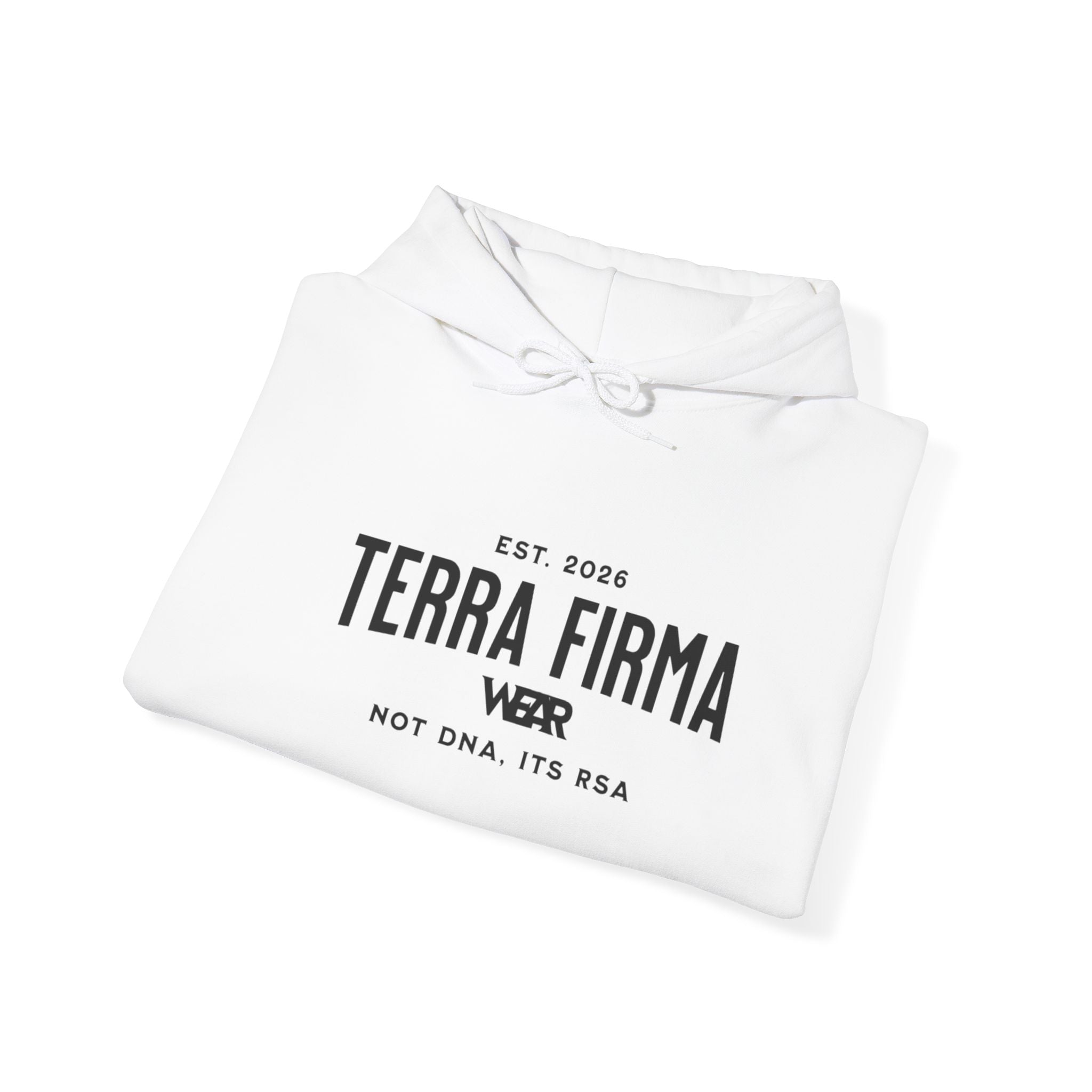 Terra Firma Graphic Hoodie — Angel Statue Back Print, 'Not ONA Its Essa' Chest Text Printify