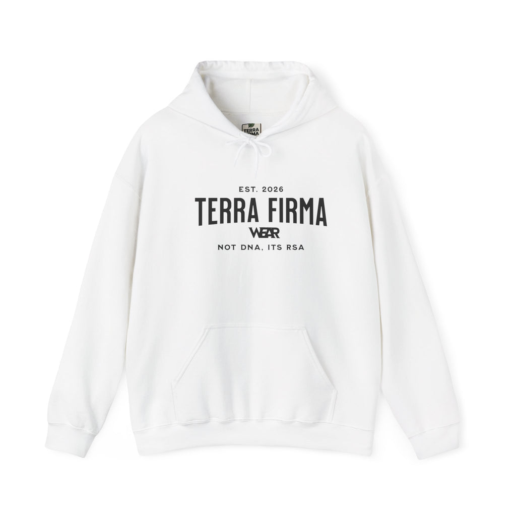Terra Firma Graphic Hoodie — 'Not DNA. It's Wear.' Vintage Angel Print Printify
