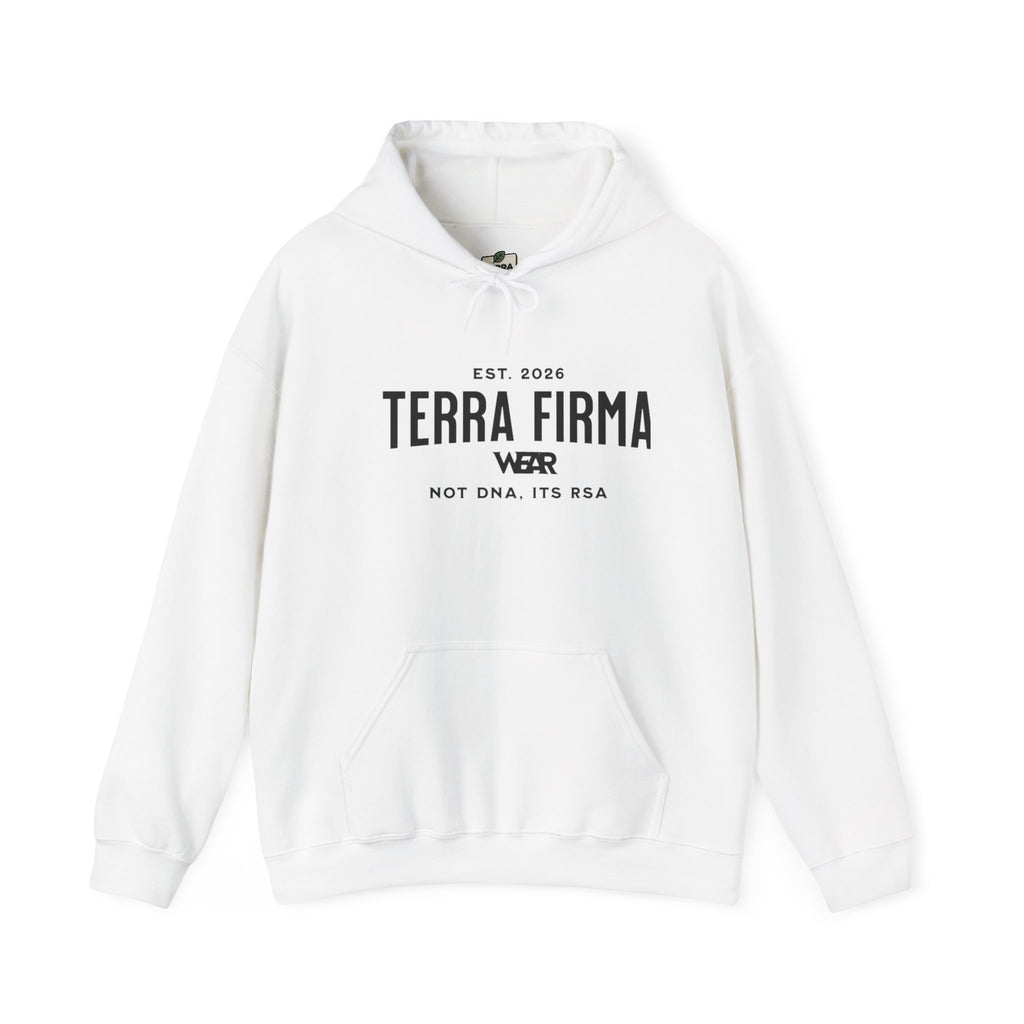 Terra Firma 'Power' Graphic Hoodie — Lion Crest Back Print Printify